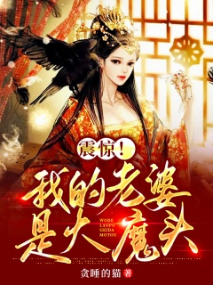 震惊！我的老婆是大魔头-热血|美女|扮猪吃老虎|升级-趣阅小说网